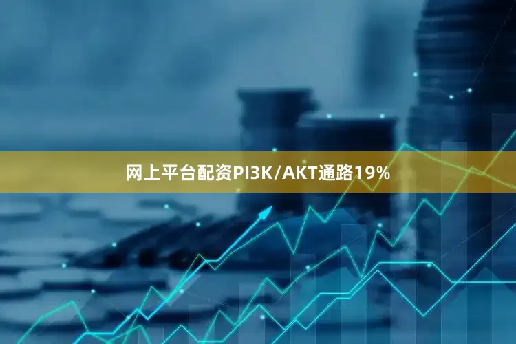 网上平台配资PI3K/AKT通路19%
