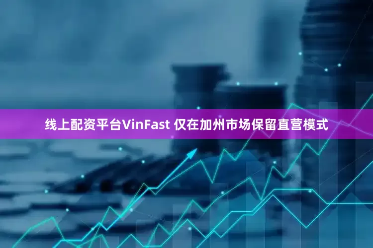 线上配资平台VinFast 仅在加州市场保留直营模式