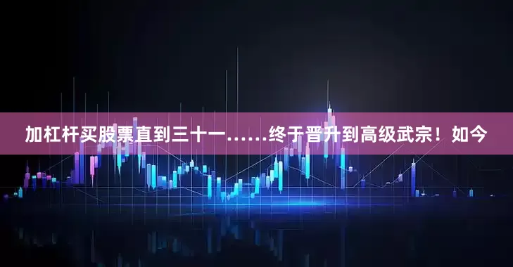 加杠杆买股票直到三十一……终于晋升到高级武宗！如今