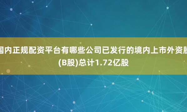 国内正规配资平台有哪些公司已发行的境内上市外资股(B股)总计1.72亿股