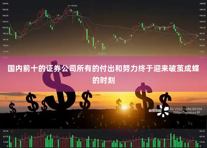 国内前十的证券公司所有的付出和努力终于迎来破茧成蝶的时刻