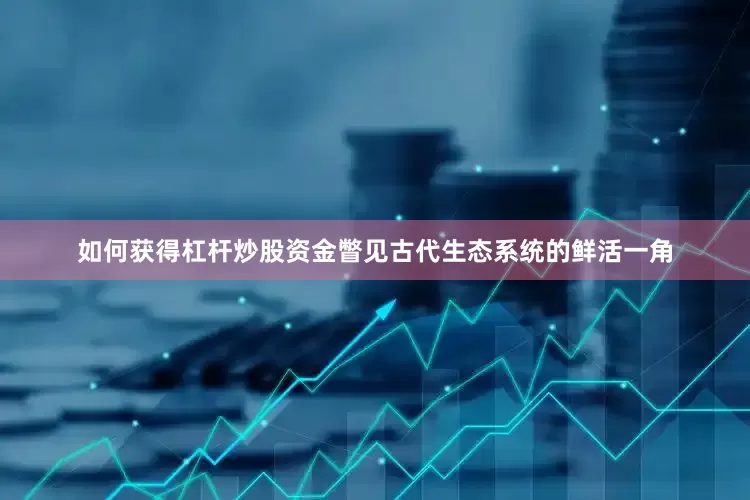 如何获得杠杆炒股资金瞥见古代生态系统的鲜活一角