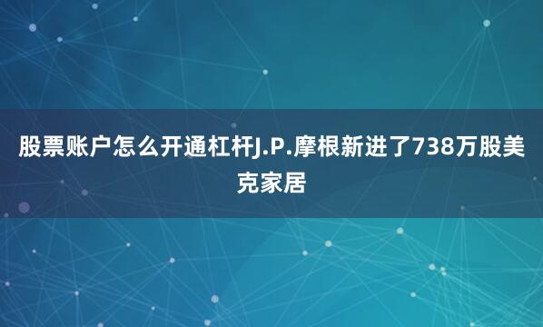 股票账户怎么开通杠杆J.P.摩根新进了738万股美克家居